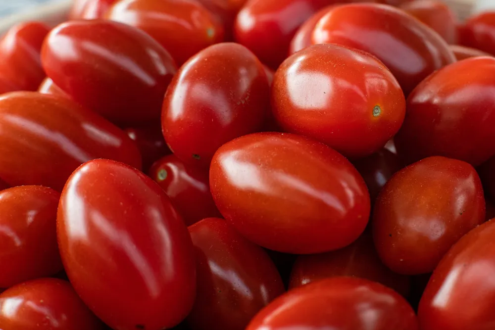 tomates cherry rojos