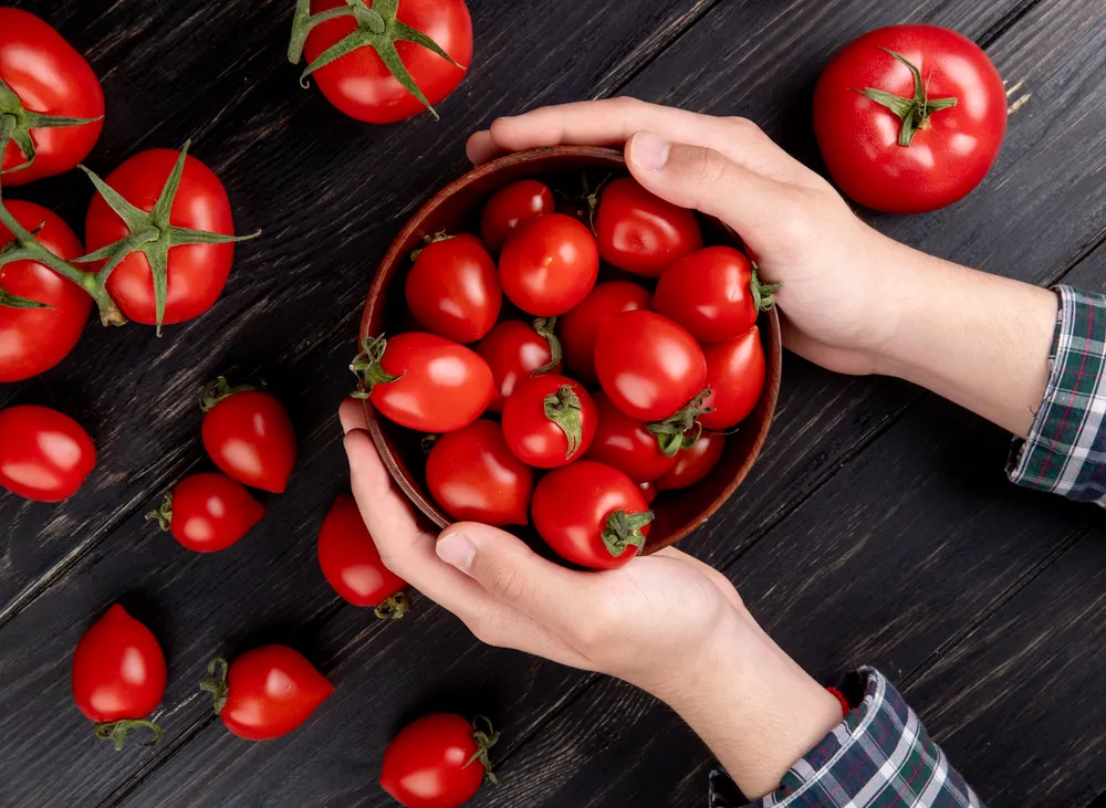 un plato de tomates cherry