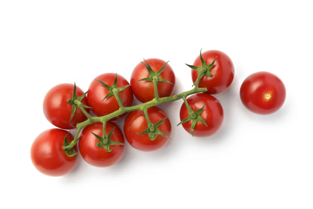 una ramita de tomates cherry rojos