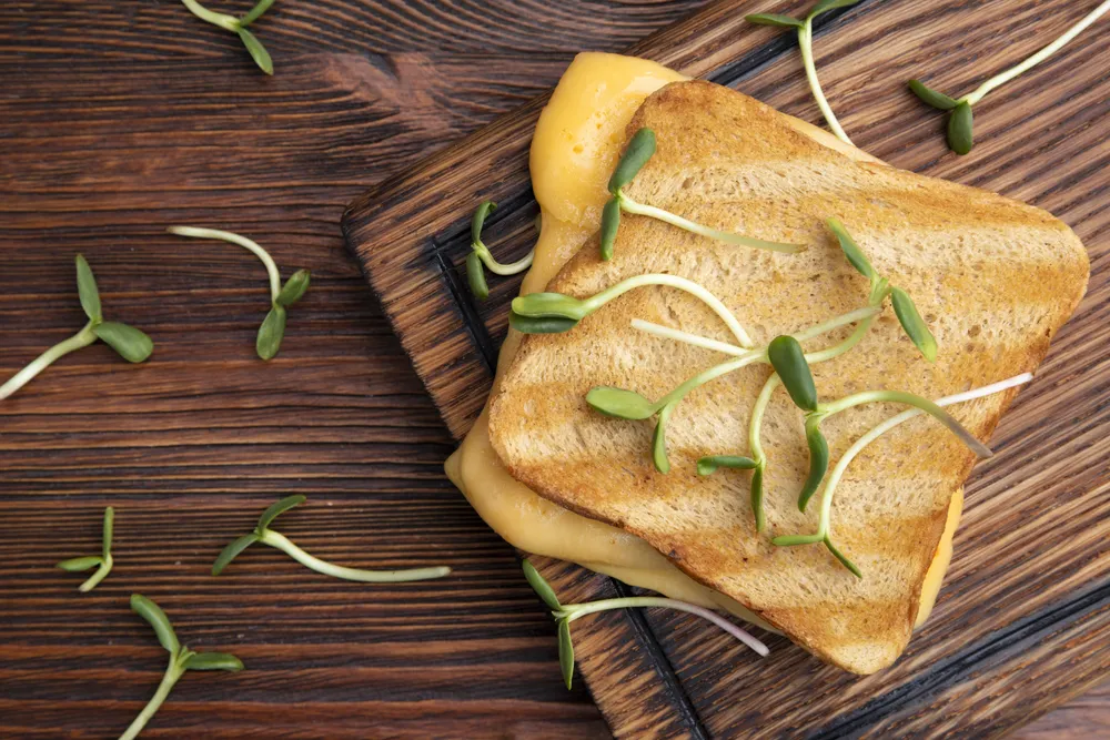 tostadas como snack para una fiesta en casa