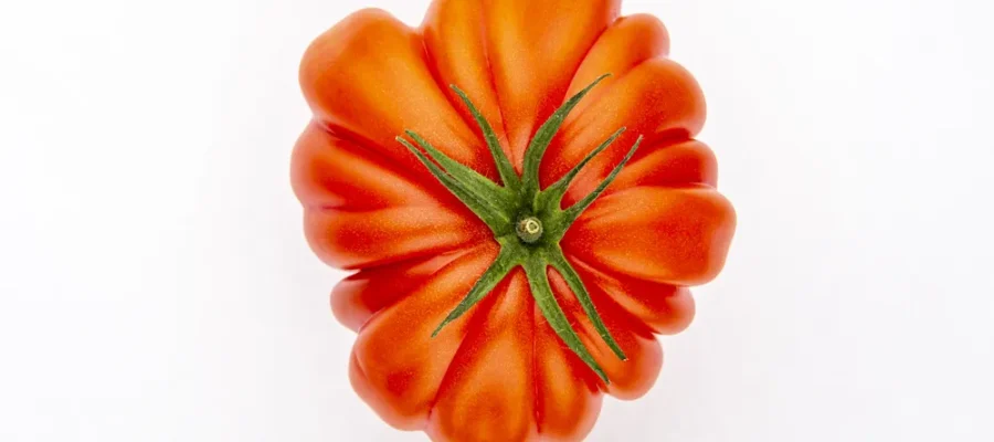 tomate rojo con que comer tomates