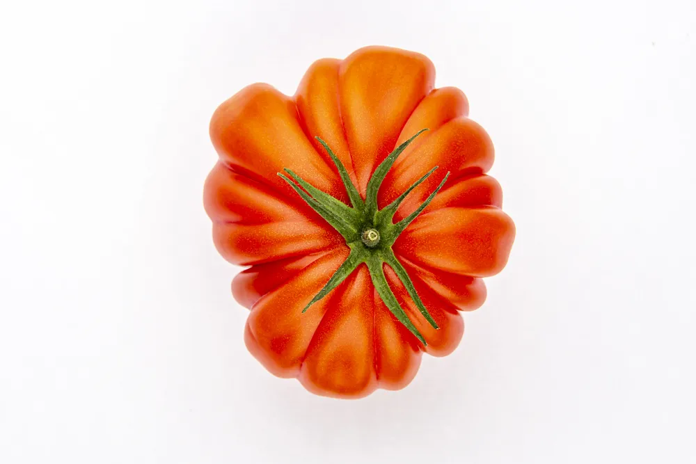 tomate rojo con que comer tomates